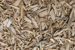 biomass boilers Falstone